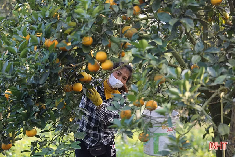 Đi giữa trời thu Can Lộc