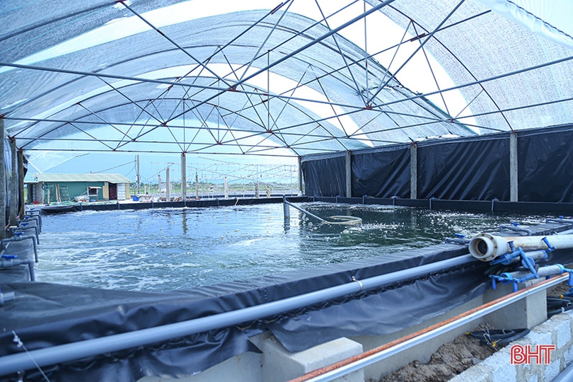 Nuôi tôm thâm canh 3 giai đoạn ở TP Hà Tĩnh “bỏ túi” hơn 500 triệu đồng/ha