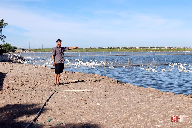 Nông dân TP Hà Tĩnh “biến” những ruộng lúa kém năng suất thành các mô hình kinh tế tiền tỷ