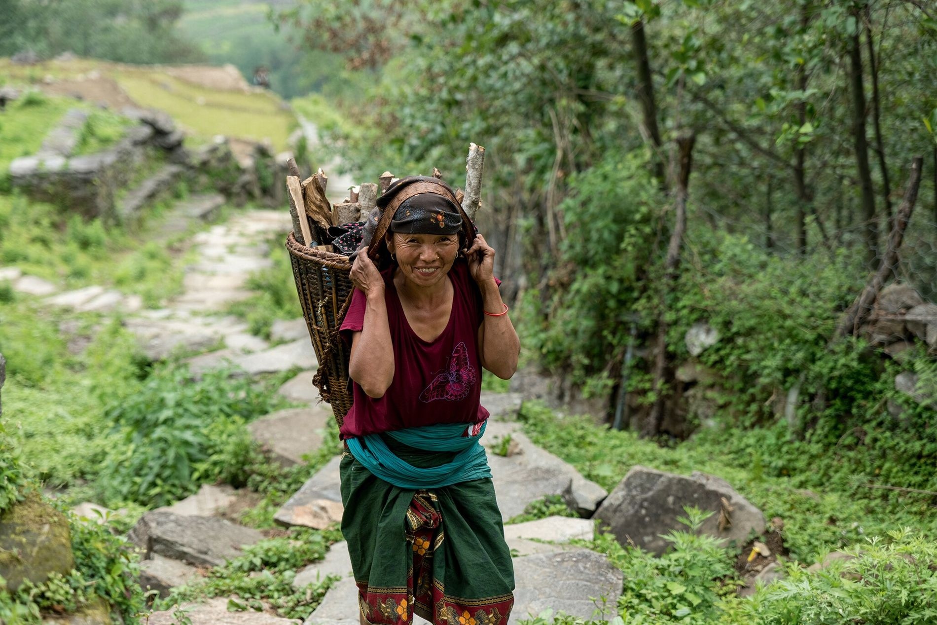 Hành trình săn mật loài ong lớn nhất thế giới ở Nepal