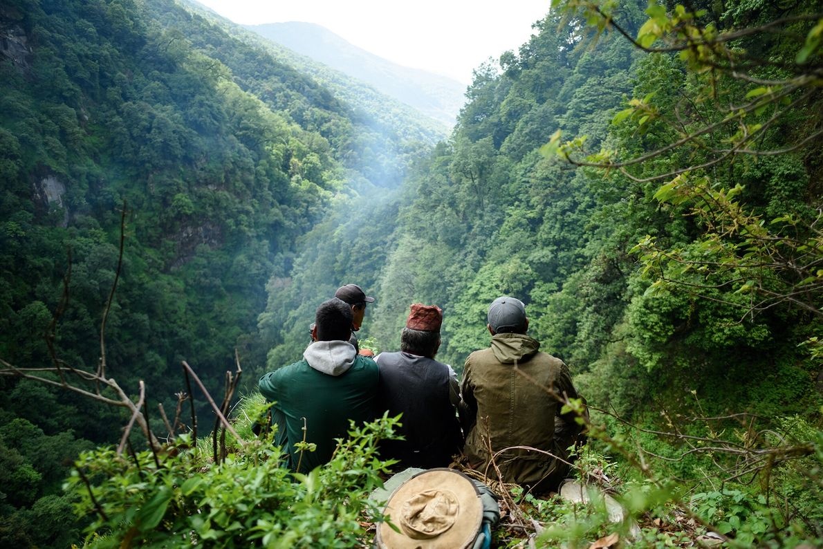 Hành trình săn mật loài ong lớn nhất thế giới ở Nepal