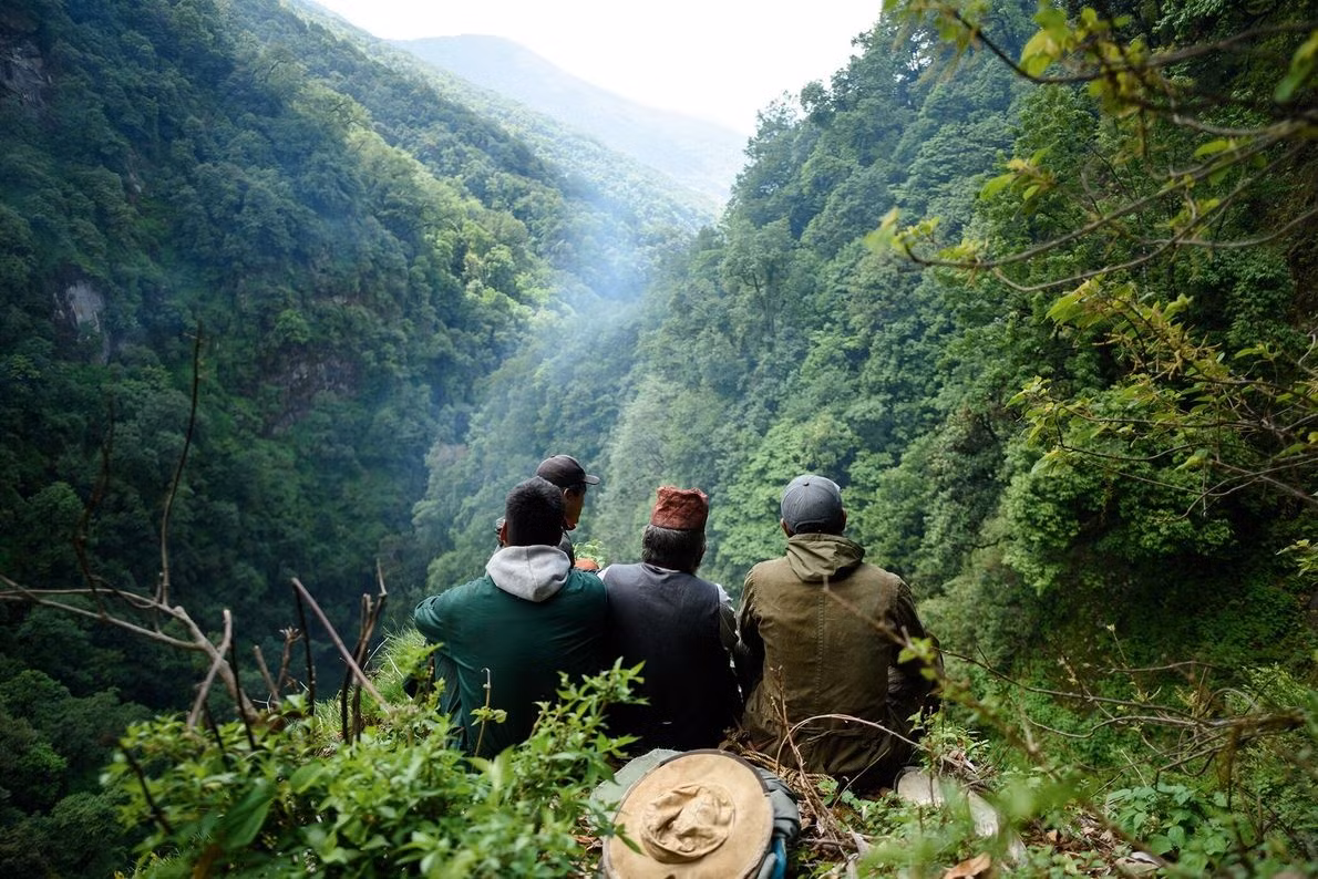 Hành trình săn mật loài ong lớn nhất thế giới ở Nepal