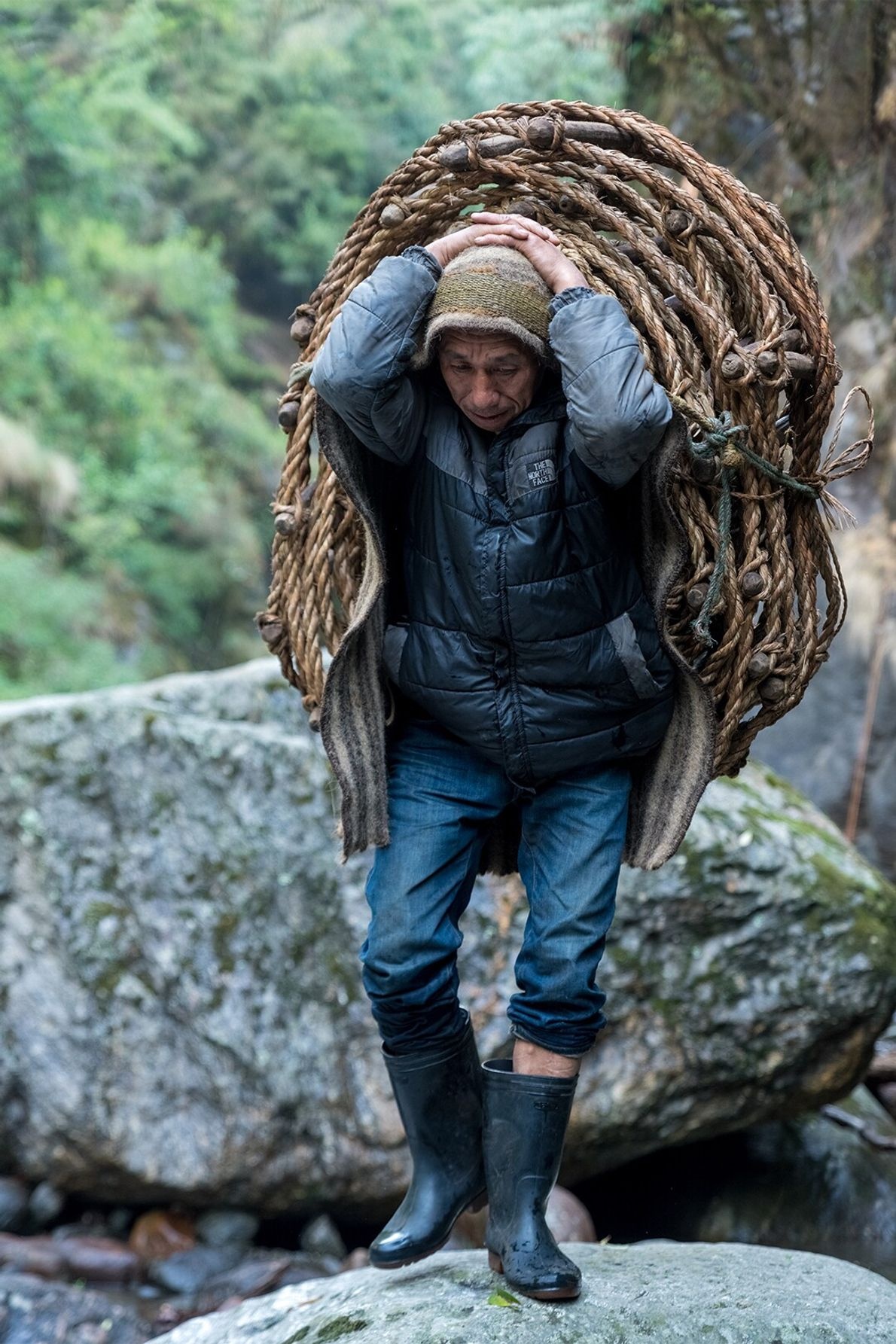 Hành trình săn mật loài ong lớn nhất thế giới ở Nepal