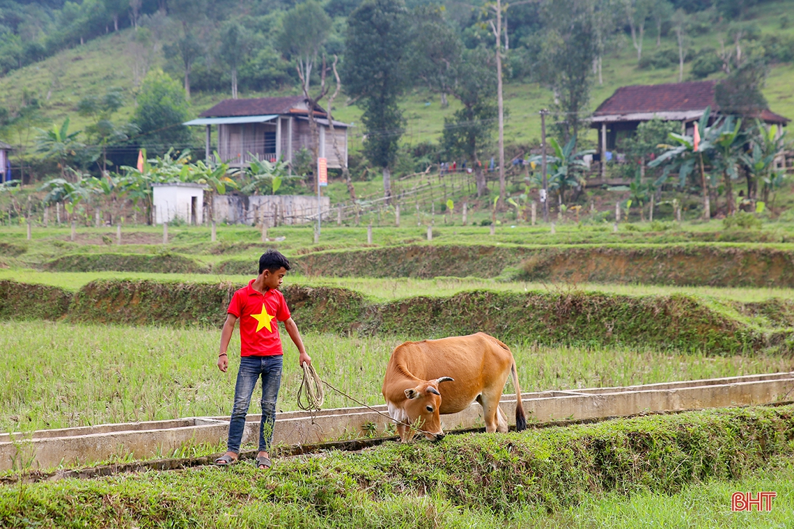 Ngắm những “thiên thần” nhỏ ở bản Rào Tre