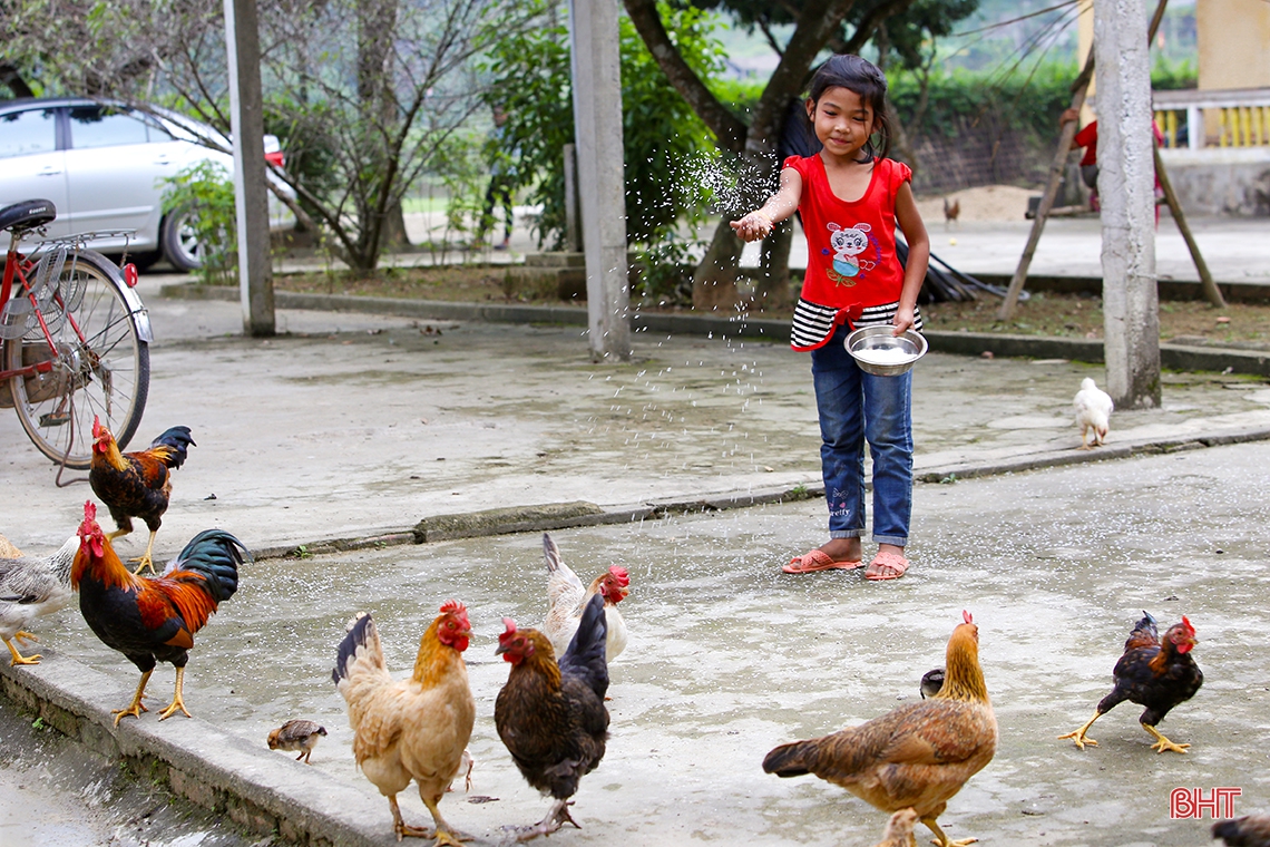 Ngắm những “thiên thần” nhỏ ở bản Rào Tre