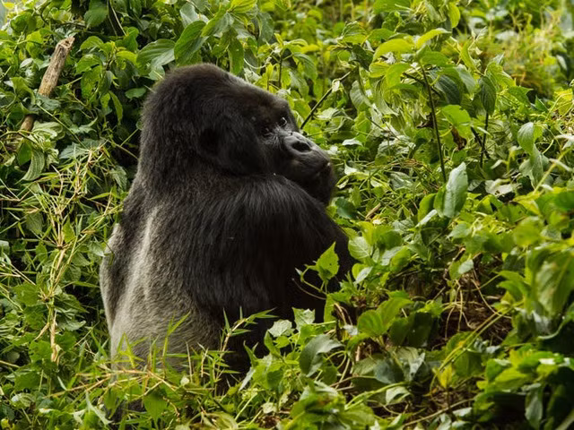 Có gì trong kì nghỉ siêu sang có giá 2,9 tỷ đồng?