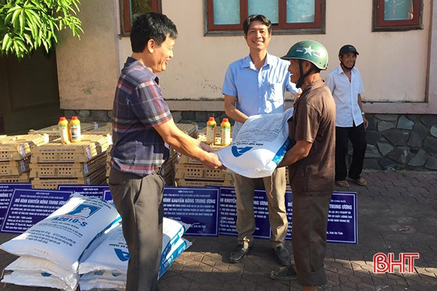 15.000 con gà giống được trao cho các hộ dân ở Thạch Hà