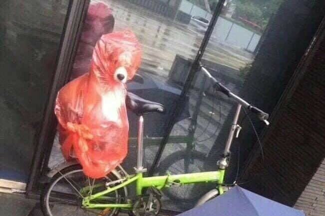 Loạt sáng tạo “kỳ dị” chỉ có người Nhật Bản mới nghĩ ra được