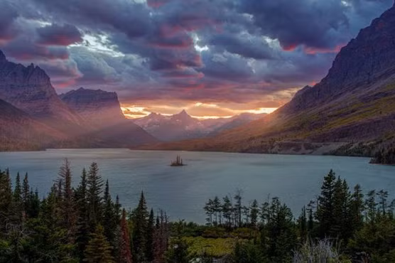 Chủ nhân bức ảnh làm hỏng điện thoại Android lên tiếng