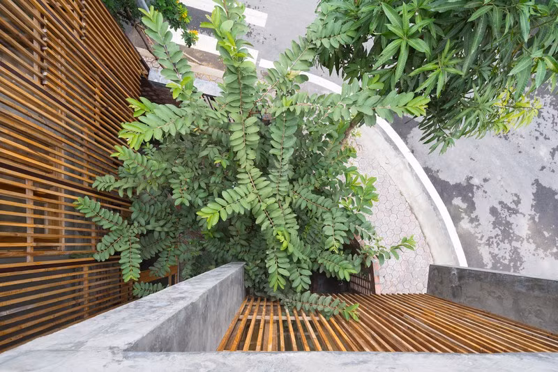 Ngôi nhà có cấu trúc mở ngập tràn ánh sáng tự nhiên