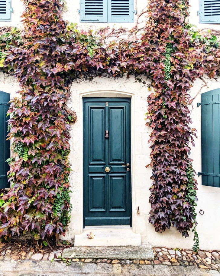 Trang trí cửa nhà bằng hoa đẹp mơ màng theo phong cách London