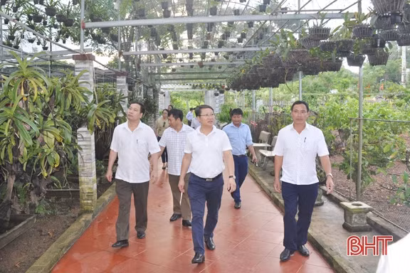 Tiếp tục rà soát, hoàn thiện hồ sơ đề nghị công nhận Đức Thọ đạt chuẩn huyện NTM