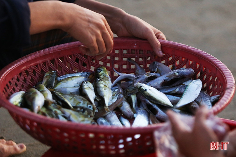 Bình yên ngày mới ở làng chài Xuân Yên