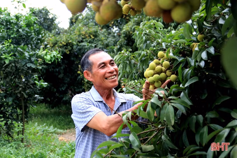 Sức sống mới của đô thị trẻ phía Nam Hà Tĩnh