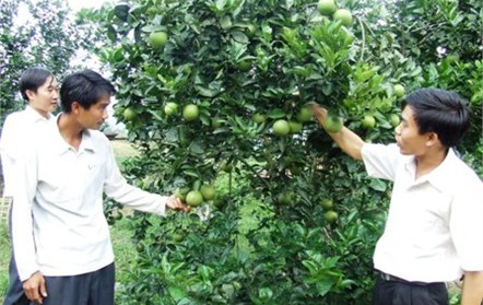 Trong 5 năm đã có 15.890 dự án được vay vốn với số tiền quay vòng 13.840 tỷ đồng