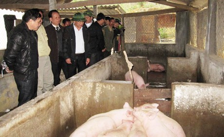 Phó Chủ tịch UBND tỉnh Lê Đình Sơn kiểm tra diễn biến dịch LMLM gia súc ở xã Đức Hòa (Đức Thọ)