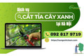 SONGANHCLEAN - dịch vụ cắt tỉa cây xanh Hà Nội chuyên nghiệp