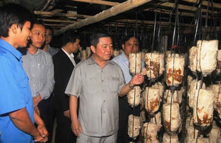 Chủ tịch UBND tỉnh Võ Kim Cự kiểm tra mô hình trồng nấm tại xã Thạch Hạ, TP Hà Tĩnh Chủ tịch UBND tỉnh Võ Kim Cự kiểm tra mô hình trồng nấm tại xã Thạch Hạ, TP Hà Tĩnh
