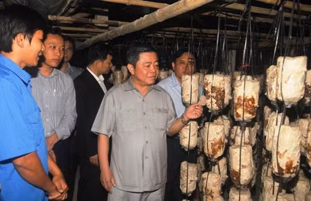 Chủ tịch UBND tỉnh Võ Kim Cự kiểm tra mô hình trồng nấm tại xã Thạch Hạ, TP Hà Tĩnh