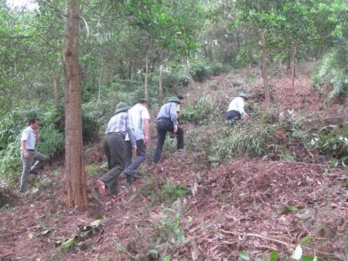 Các ngành chức năng tỉnh đi kiểm tra đường băng cản lửa tại xã Sơn Lễ, Hương Sơn