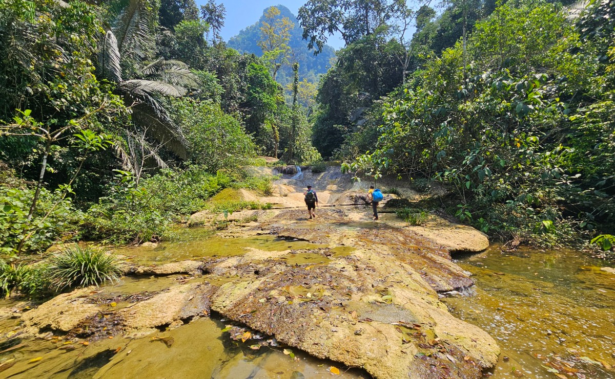 Đường đến các hang đi dọc theo suối, xung quanh là rừng nguyên sinh.