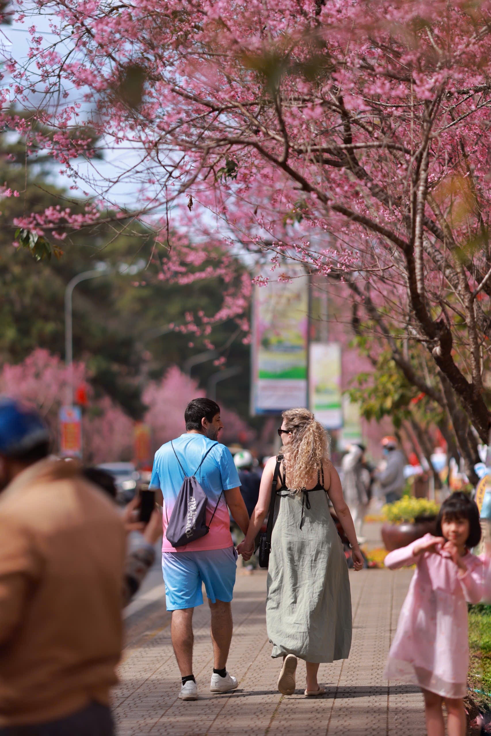 Ngày 16/1, tỉnh Lâm Đồng đã khai mạc Lễ hội hoa mai anh đào với chủ đề “Hội tụ sắc xuân”. Các phường Lâm Viên, Xuân Trường, Cam Ly, LangBiang tổ chức nhiều hoạt động văn hóa - nghệ thuật phục vụ du khách. Không gian “Đường hoa ánh sáng, nghệ thuật” trưng bày gần 100 tác phẩm nhiếp ảnh, hội họa về thiên nhiên cùng hơn 300 lá cờ Tổ quốc, tạo điểm nhấn trang trọng giữa khung cảnh rực rỡ. ảnh