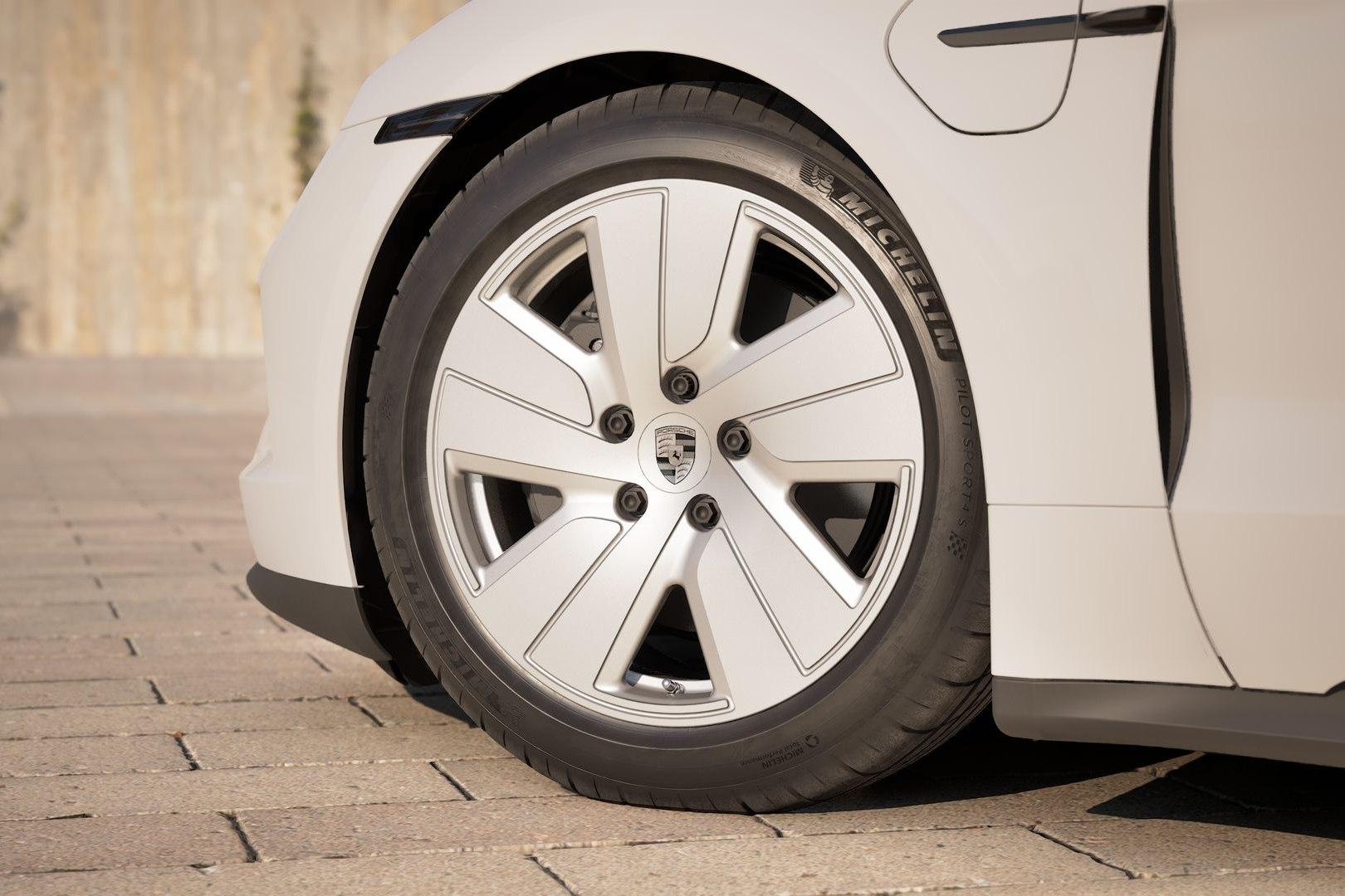 Các thương hiệu lốp nổi tiếng đều phải phát triển dòng lốp chuyên dụng dành cho xe điện như Michelin e.Primacy EV, Pirelli P Zero Elect EV, Bridgestone Turanza Eco EV, Continental EcoContact 6, Hankook Ventus S1 evo3 ev...