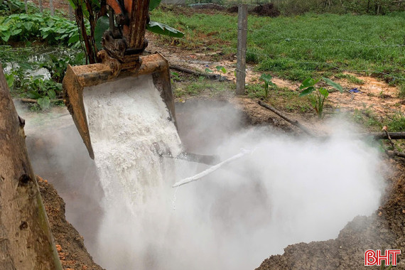 Tiêu hủy 145 con lợn nhiễm dịch tả lợn châu Phi