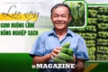 Lão nông gom ruộng làm nông nghiệp sạch