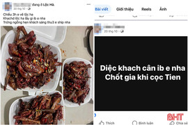 Chim trời vẫn được rao bán công khai trên “chợ mạng”