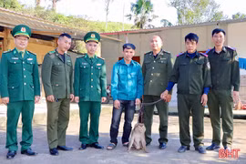 Bàn giao cá thể khỉ quý hiếm cho Vườn Quốc gia Vũ Quang 