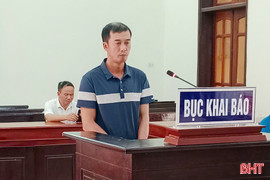 Đi sai làn đường làm 2 người tử vong, tài xế lĩnh án