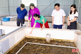 Triển vọng từ mô hình nuôi lươn không bùn đầu tiên ở xã Thượng Đức