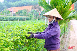 “Khéo tay, hay làm”, phụ nữ Vũ Quang cùng nhau xây dựng quê hương 