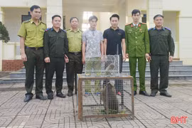 Vườn Quốc gia Vũ Quang tiếp nhận 3 cá thể động vật quý hiếm