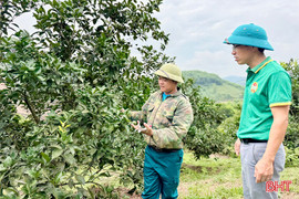 "Biến" đất cằn thành mô hình kinh tế hiệu quả