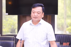 Hà Tĩnh thúc đẩy phát triển bền vững cây dó bầu