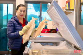 Hải sản Hà Tĩnh giá tăng vẫn đắt khách