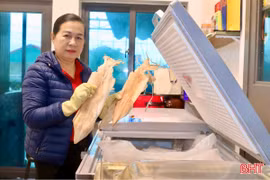 Hải sản Hà Tĩnh giá tăng vẫn đắt khách