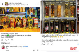 Cẩn trọng khi sử dụng các loại rượu ngâm trong dịp Tết