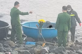 Tìm thông tin về thi thể nam giới trên vùng biển Kỳ Khang