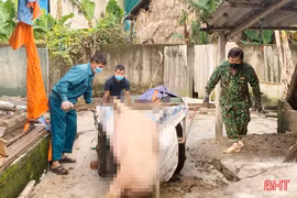 Phường Hà Huy Tập rốt ráo khoanh vùng, dập dịch tả lợn châu Phi
