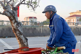 Miệt mài mưu sinh ngày cuối năm