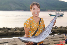 Thời tiết thuận lợi, ngư dân Hà Tĩnh phấn khởi vươn khơi