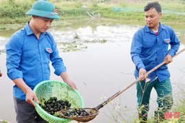 Nông dân xã miền núi phát triển kinh tế từ “vàng đen”