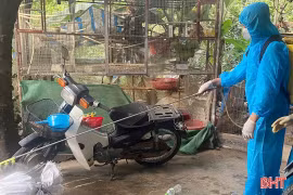 Hà Tĩnh siết chặt công tác phòng, chống dịch cúm gia cầm H5N1