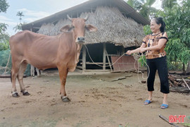 Trao sinh kế cho hộ nghèo, cận nghèo ở xã Đức Liên