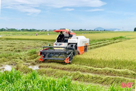 Hà Tĩnh trích 6,9 tỷ đồng hỗ trợ các địa phương phòng chống bão số 5