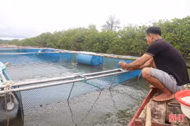 Chủ động bảo vệ thủy sản trước mùa mưa bão