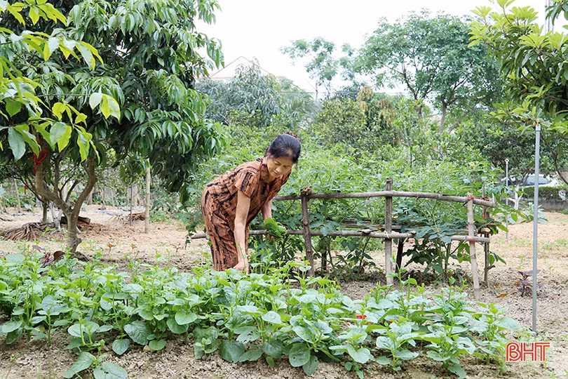 “Gia đình NTM kiểu mẫu” - nhân tố tích cực trong xây dựng NTM ở Hà Tĩnh